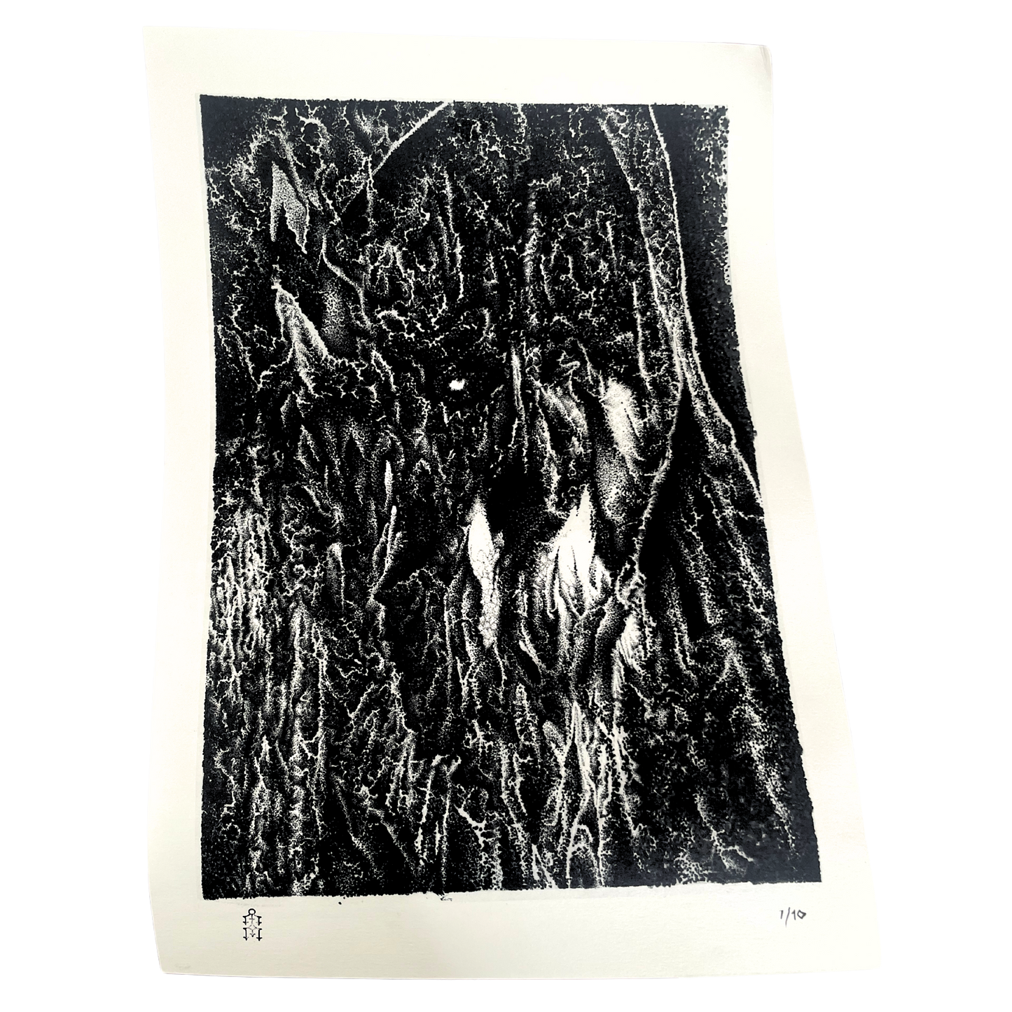 Veil- Tyler Durban (Limited Edition, Giclee Prints)