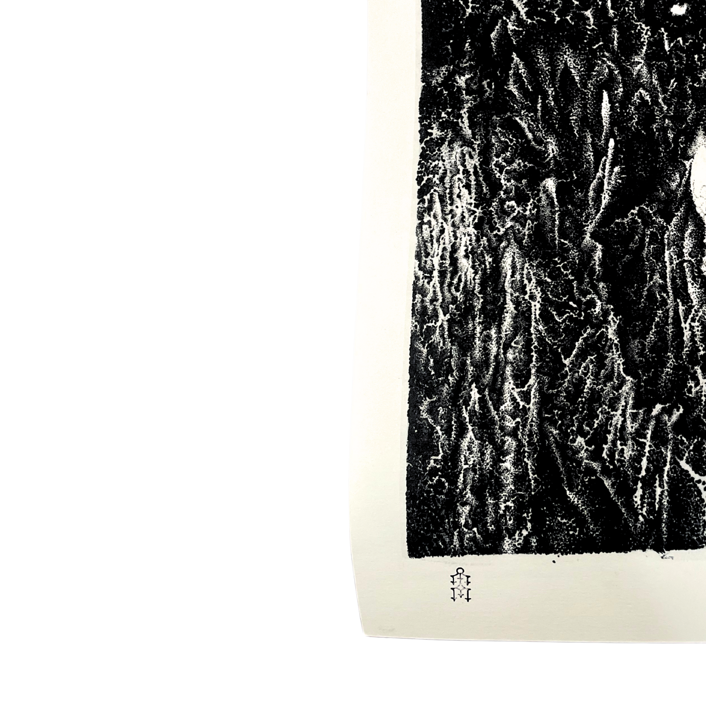 Veil- Tyler Durban (Limited Edition, Giclee Prints)