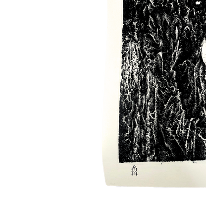 Veil- Tyler Durban (Limited Edition, Giclee Prints)