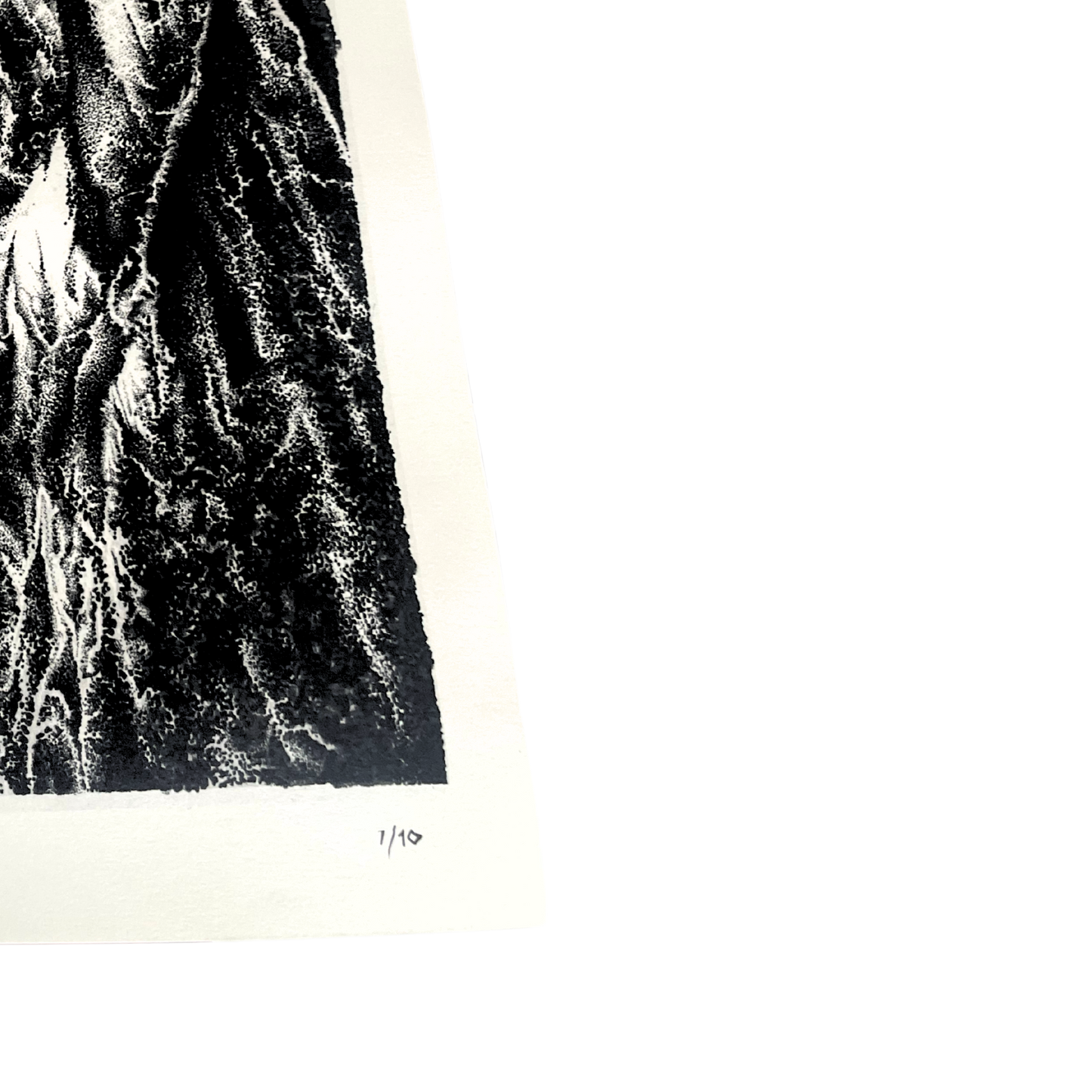 Veil- Tyler Durban (Limited Edition, Giclee Prints)