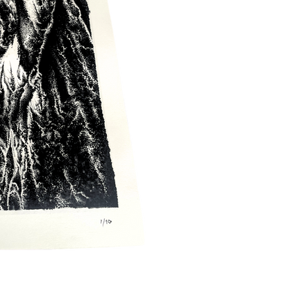 Veil- Tyler Durban (Limited Edition, Giclee Prints)