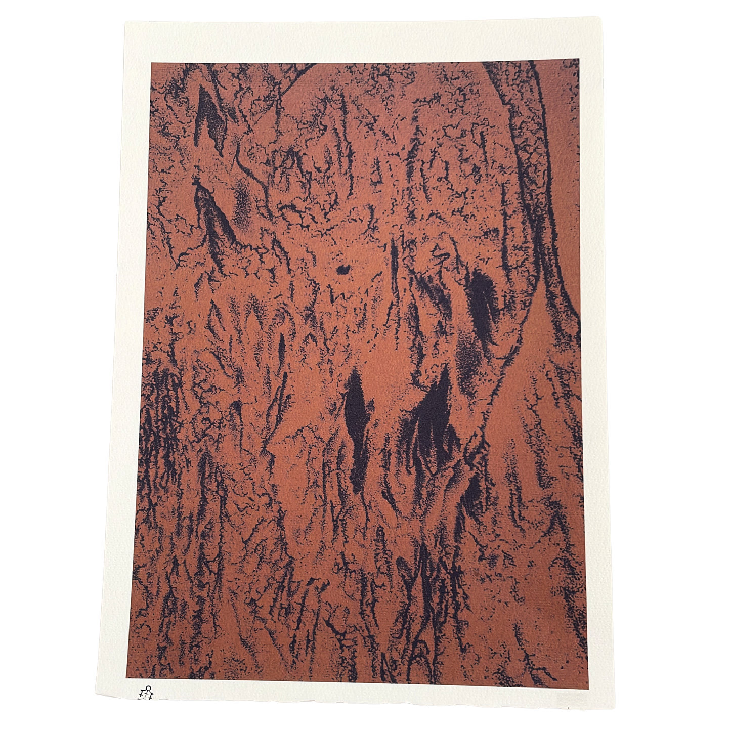 Veil- Tyler Durban (Limited Edition, Giclee Prints)